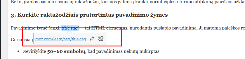 Nuoroda į išorinę svetainę