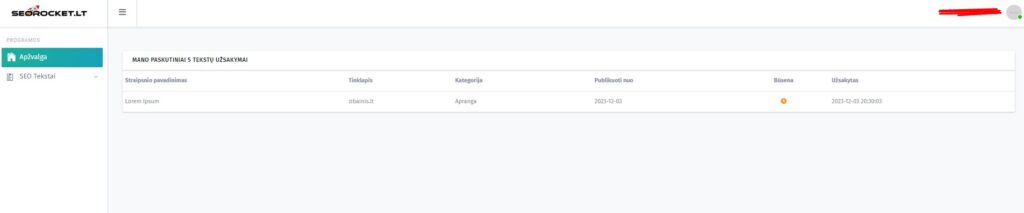 Pirminis sistemos vaizdas