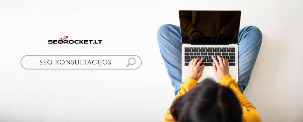 Profesionalios SEO konsultacijos