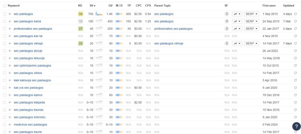 SEO paslaugos raktažodis