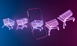 Internetinės parduotuvės kūrimas