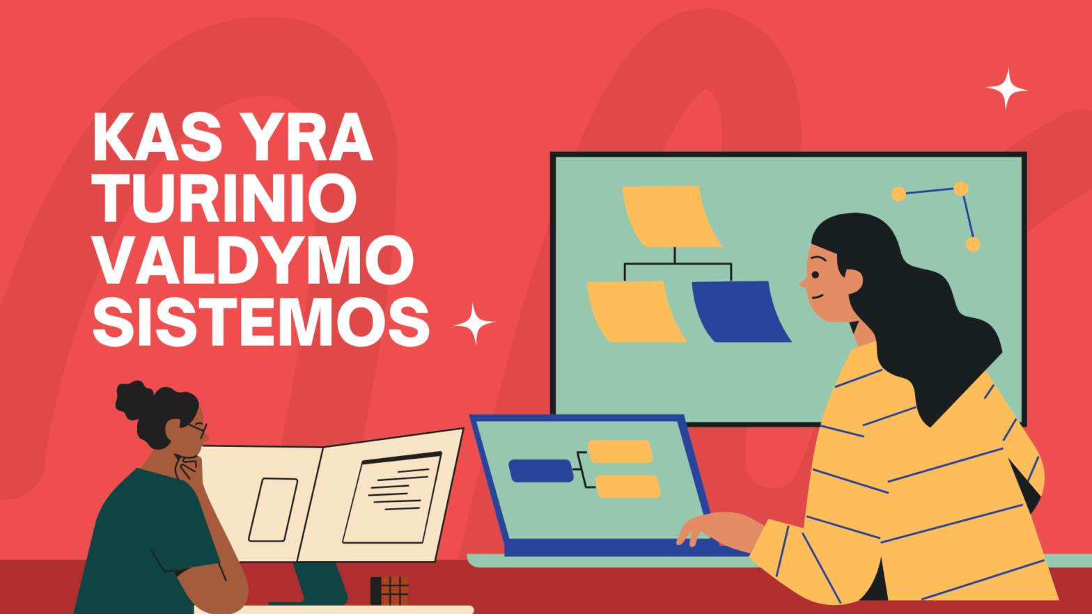 Turinio valdymo sistemos