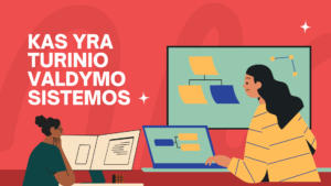 Turinio valdymo sistemos