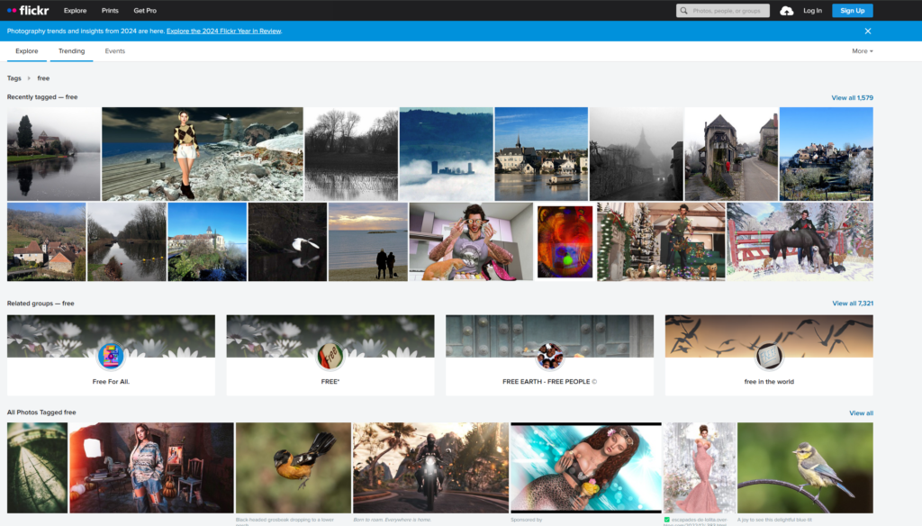 flickr