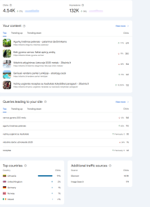 Google insights atnaujinimas