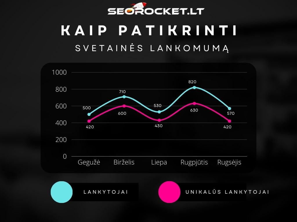Kaip patikrinti savo verslo svetainės lankomumą