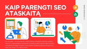 seo ataskaita