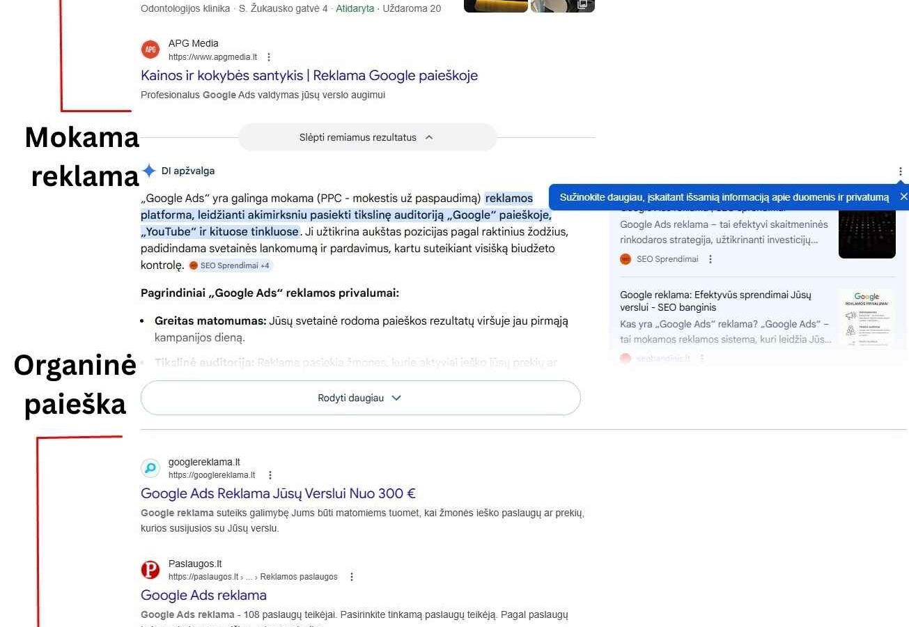 Paieškos rezultatų puslapio pavyzdys, kuriame viršuje rodomi mokamos reklamos įrašai, o žemiau – organinės paieškos rezultatai, pažymėti atskiromis sekcijomis.