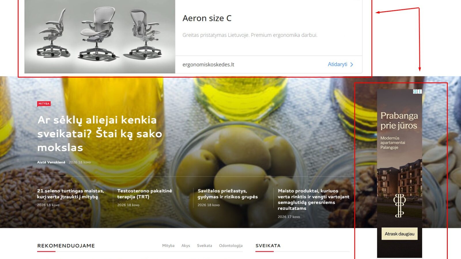 Naujienų portalo puslapis su pažymėtais reklaminiais skydeliais: viršuje rodomas banerinis skelbimas, o dešinėje – šoninė reklama šalia straipsnio turinio.