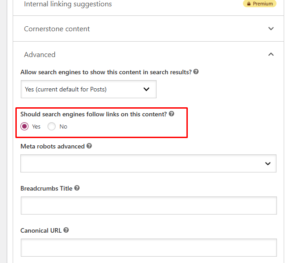 No index žyma Yoast SEO įskiepyje