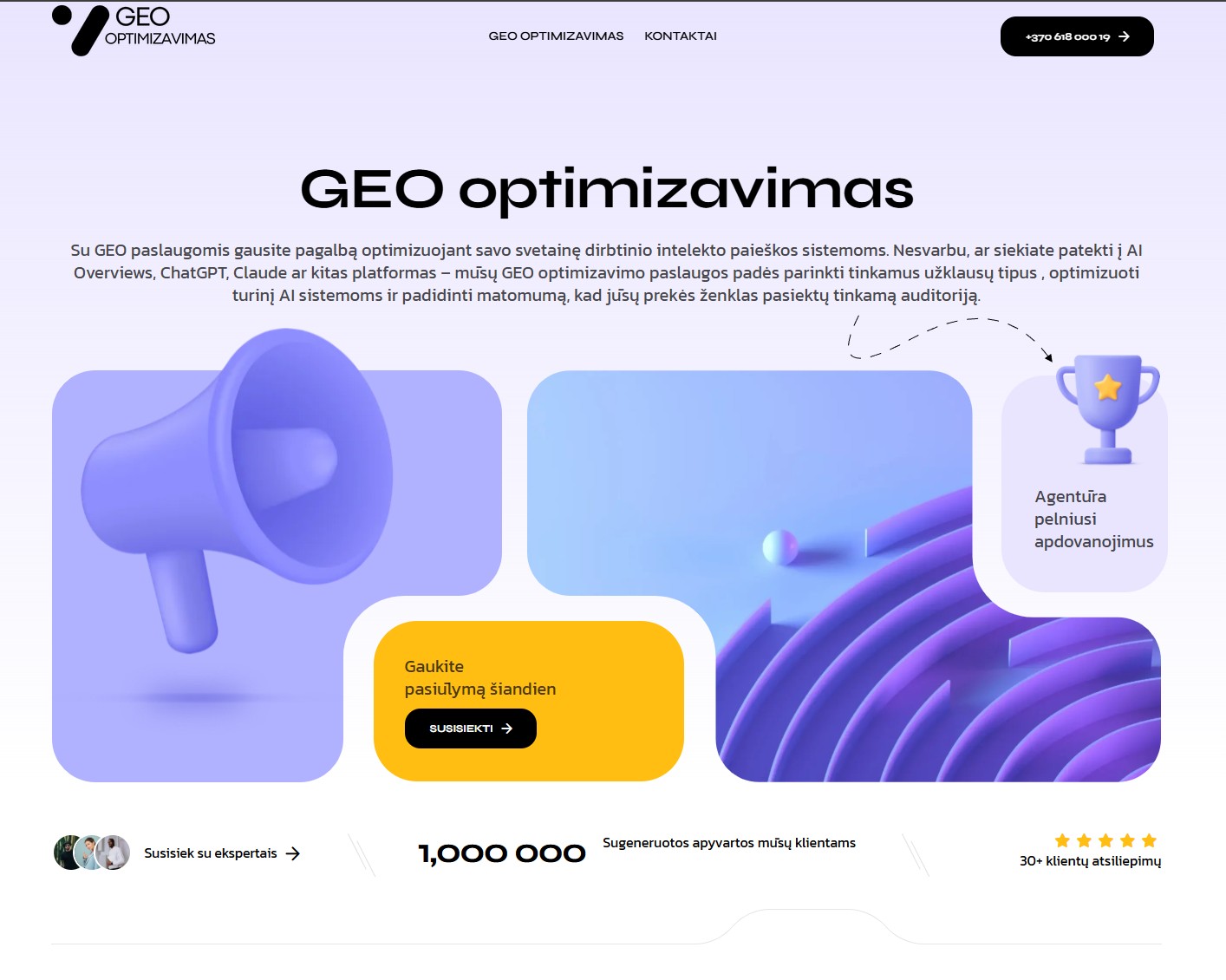 Geo optimizavimas .lt